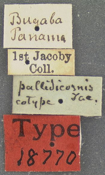 Media type: image;   Entomology 18770 Aspect: labels